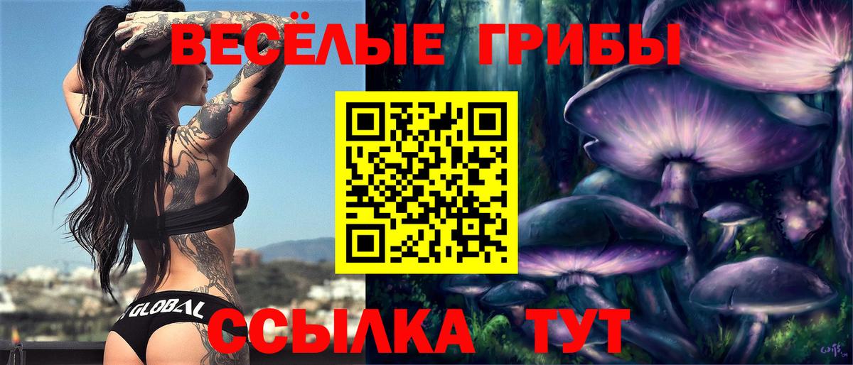 Шарыпово  что такое наркотик  Псилоцибиновые грибы ЛСД  Вход с VPN  Псилоцибиновые грибы Cubensis 