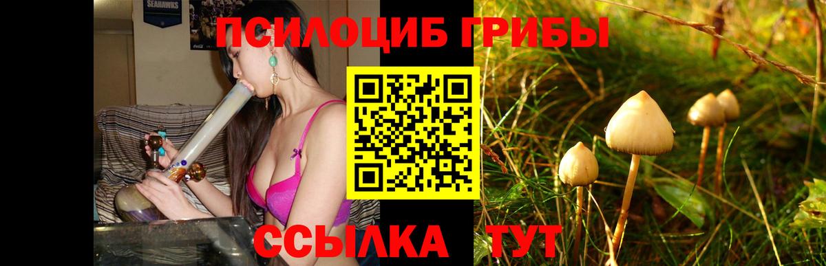 Псилоцибиновые грибы мухоморы Шарыпово