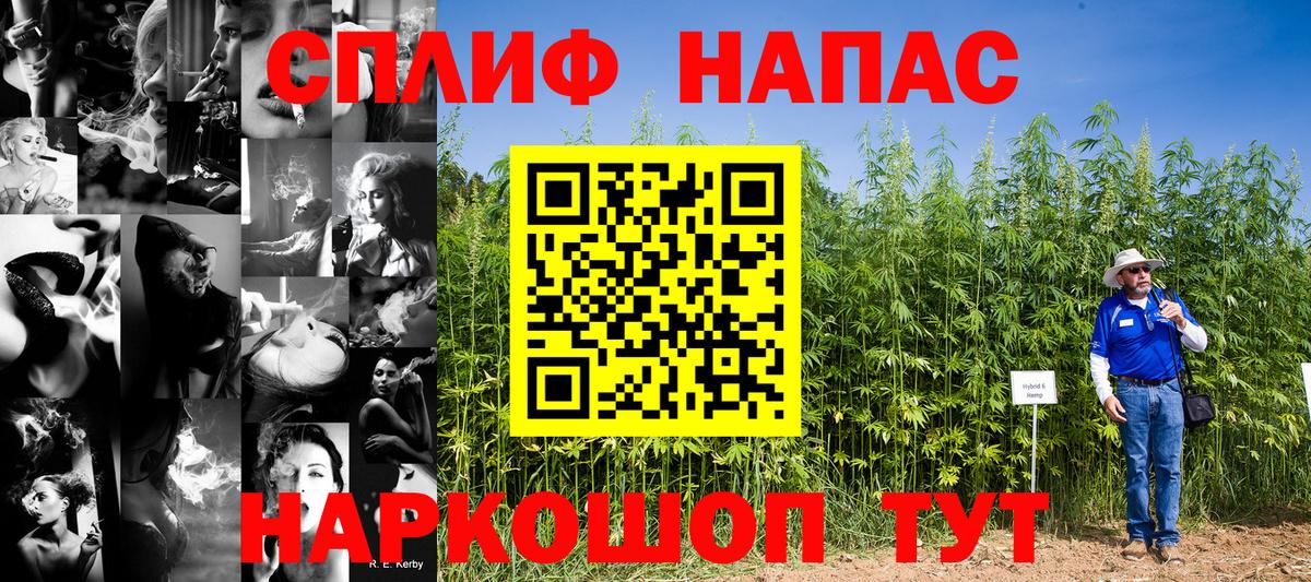 Шишки марихуана план Шарыпово